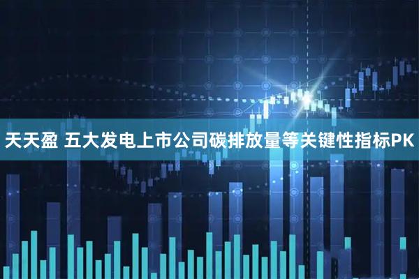 天天盈 五大发电上市公司碳排放量等关键性指标PK