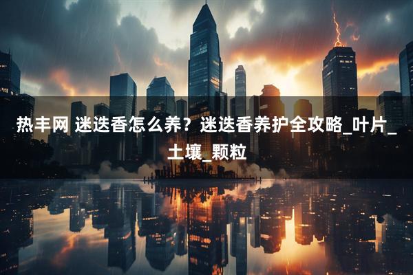 热丰网 迷迭香怎么养？迷迭香养护全攻略_叶片_土壤_颗粒