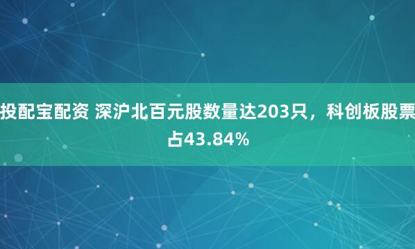 投配宝配资 深沪北百元股数量达203只，科创板股票占43.84%