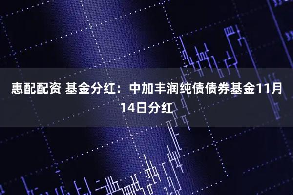 惠配配资 基金分红：中加丰润纯债债券基金11月14日分红